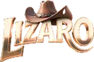Logo Lizaro